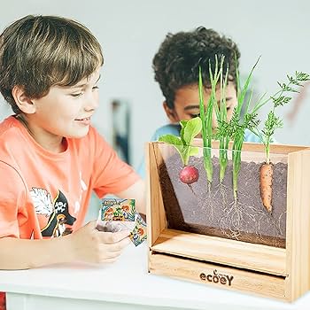 Amazon|根の植物観察窓、子供用植木鉢-木製観察窓-科学キット、5歳 Amazon|根の植物観察窓、子供用植木鉢-木製観察窓-科学キット、5歳